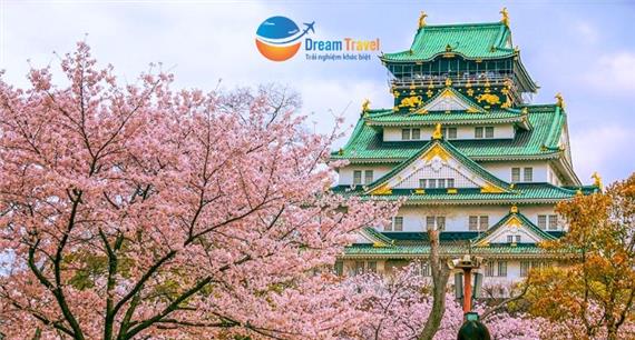 Tour Nhật Bản Hành Trình Vàng Mùa Hoa Anh Đào 6N5Đ